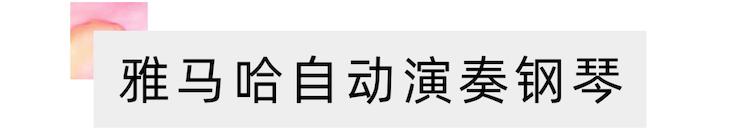 活动报道 | “科技助力，跨越时空”，小鹿纯子携手刘明康共享中日音乐盛宴